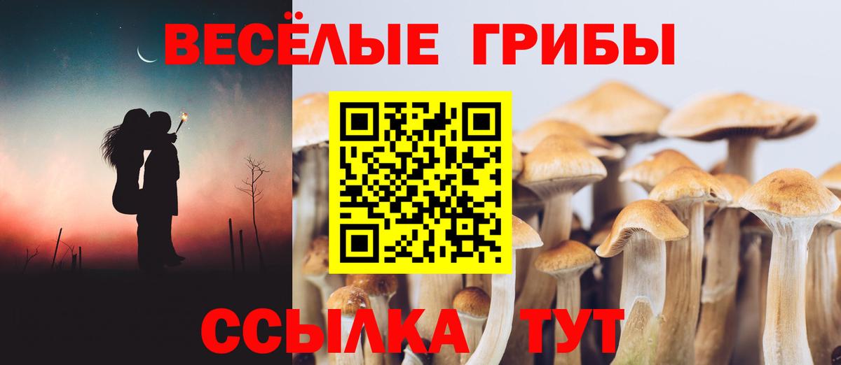 Псилоцибиновые грибы ЛСД Жуковский